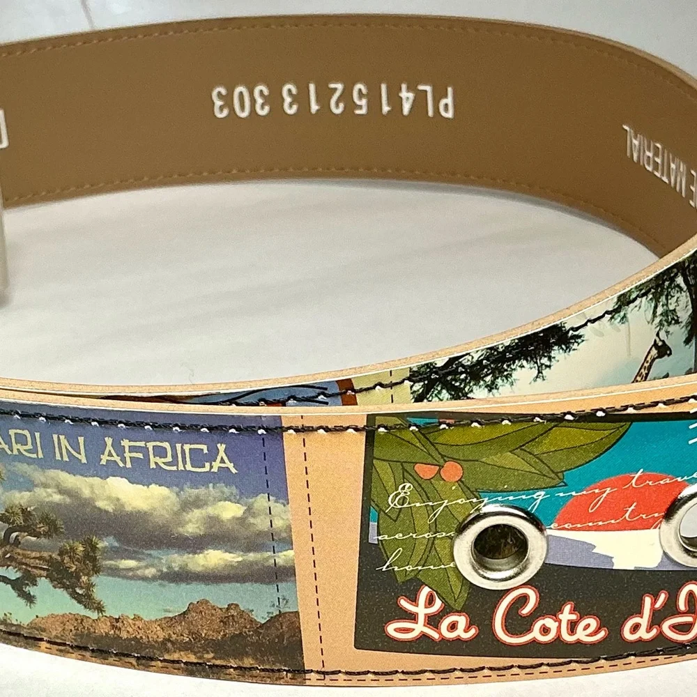 Y2K SAFARI BELT (RARE) - Picture 3 of 8